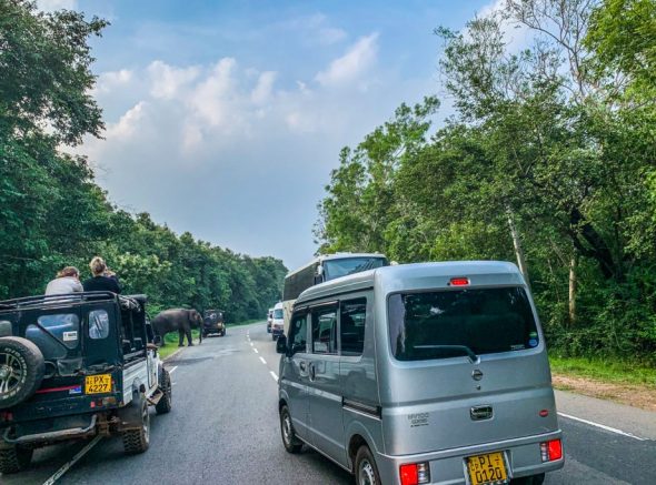Best Cars for Sri Lanka Roads